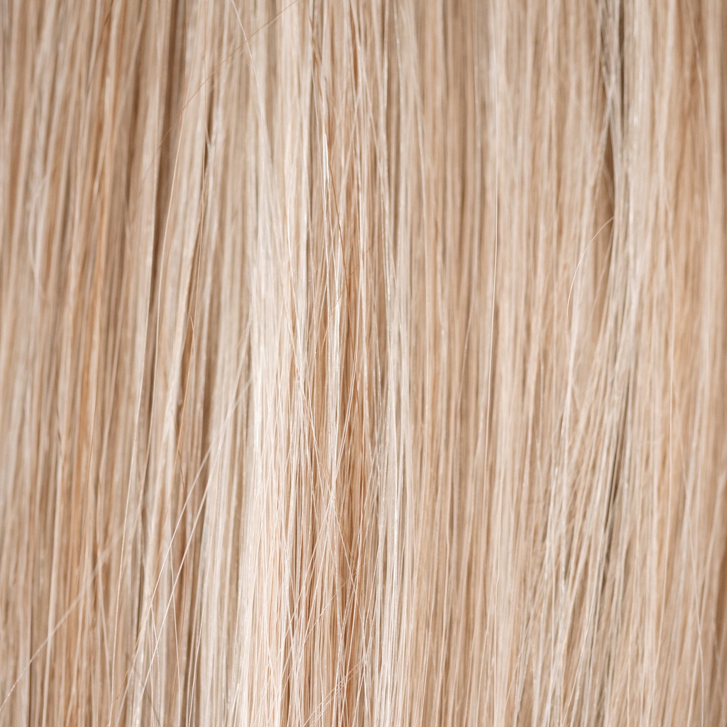 Carson - Dimensional Blonde