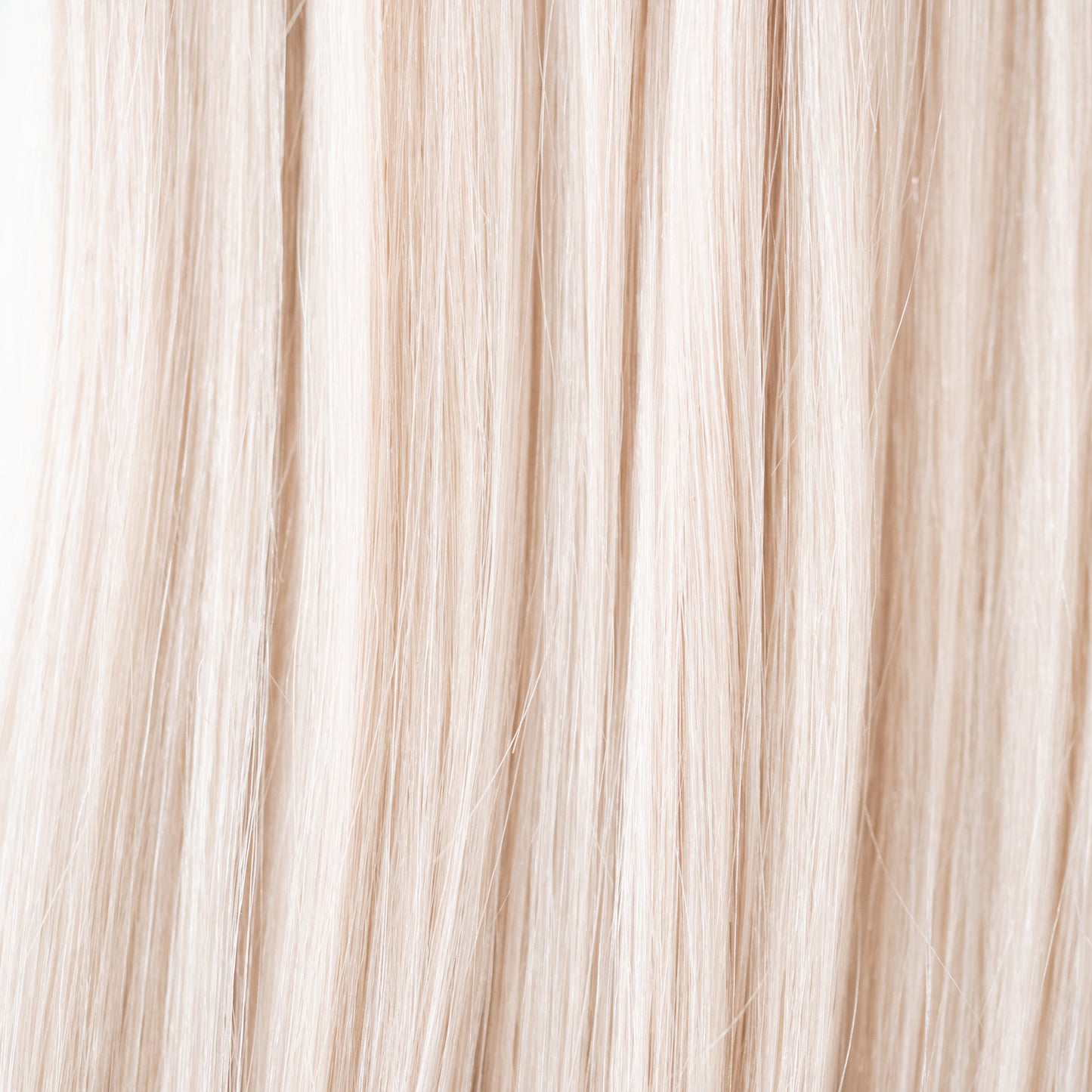 Ken - Platinum Blonde